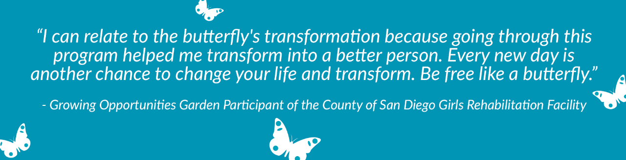 County of San Diego Girls Rehabilitation Facility Quote