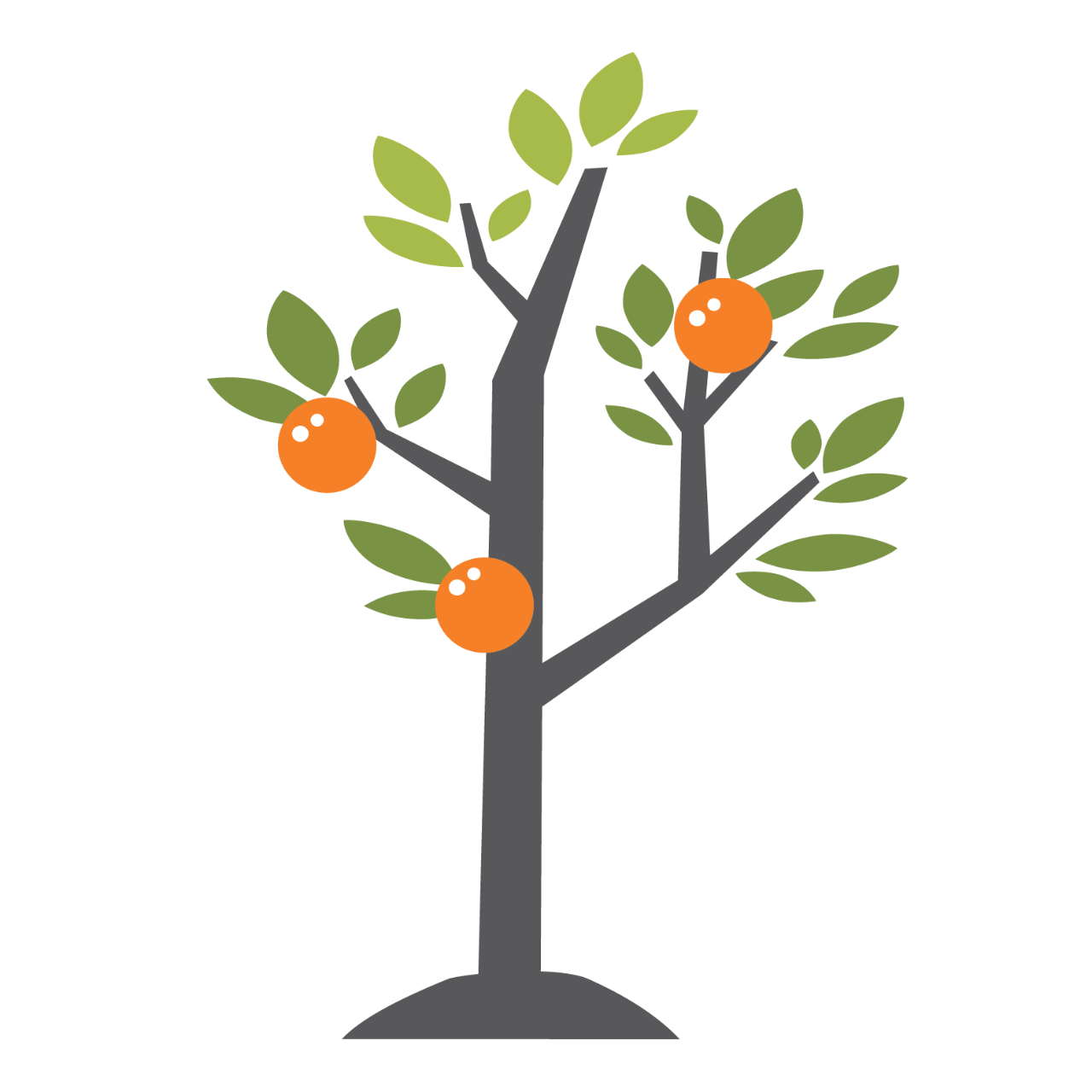ProduceGood partnered with the City of Oceanside to harvest 8,000 pounds of citrus from 15 neighborhood orchards, providing over 24,000 servings of fruit to neighborhood feeding agencies and keeping 4 TONS of edible food from the landfill.