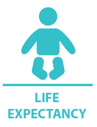 Graphic for Life Expectancy Indicator