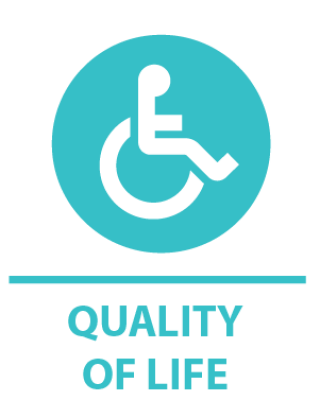 Quality of Life Indicator Graphic