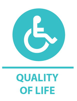 Quality of Life Indicator Graphic