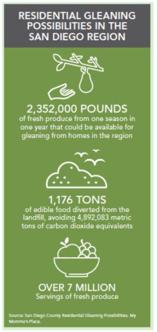 Gleaning Possibilities