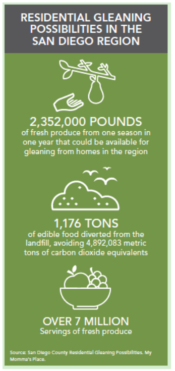 Gleaning Possibilities