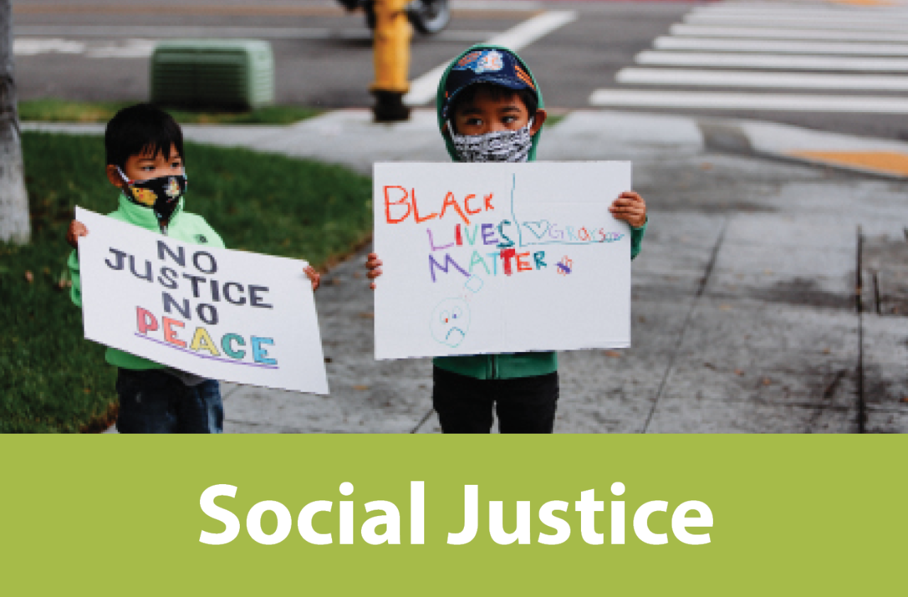 Social Justice Button