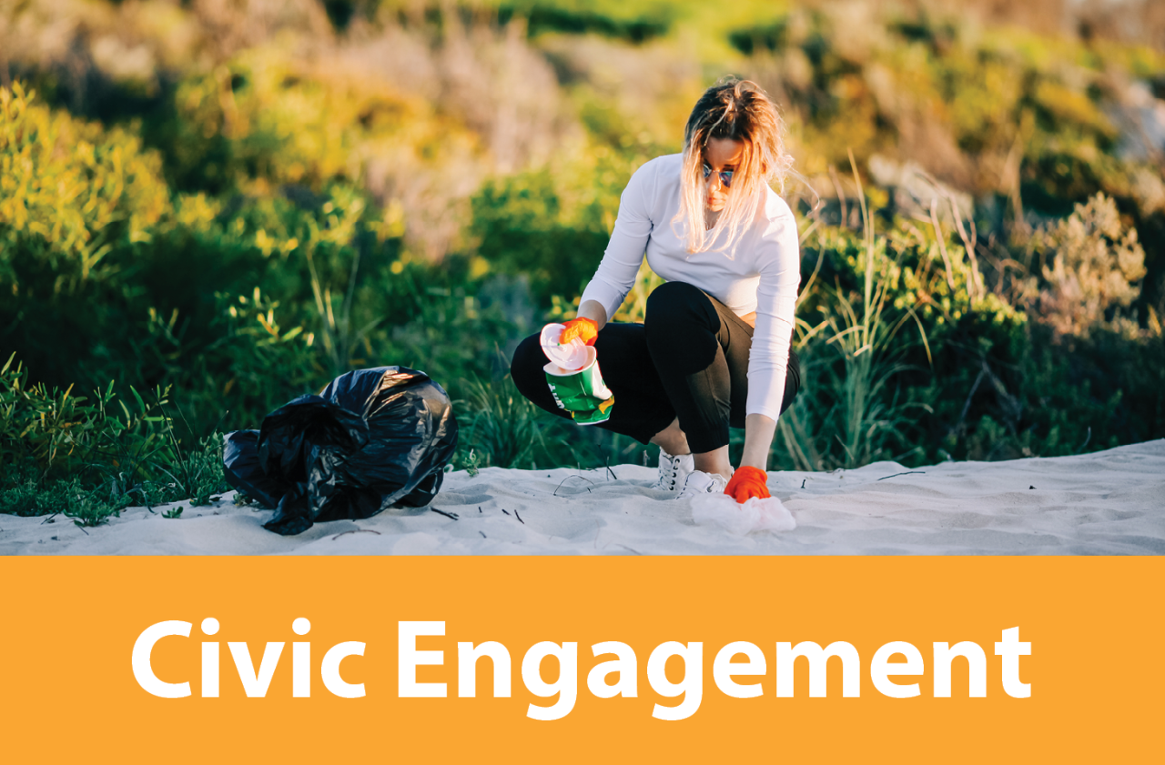 Civic Engagement button