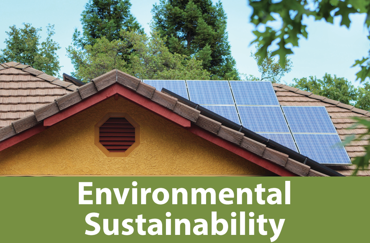 Environmental Sustainability Button