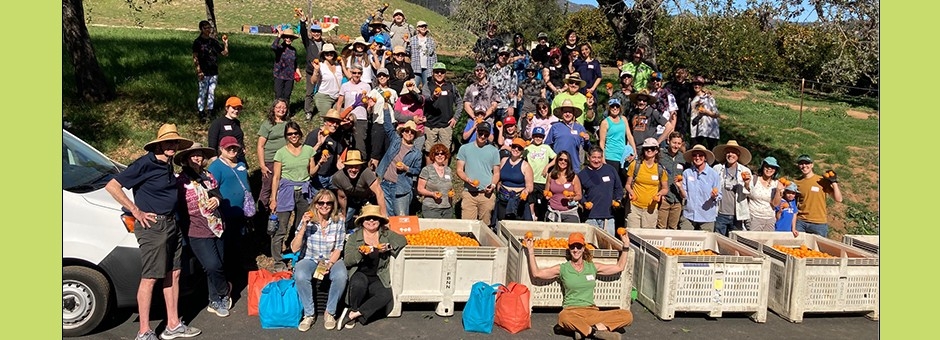 people smiling after fruit collection