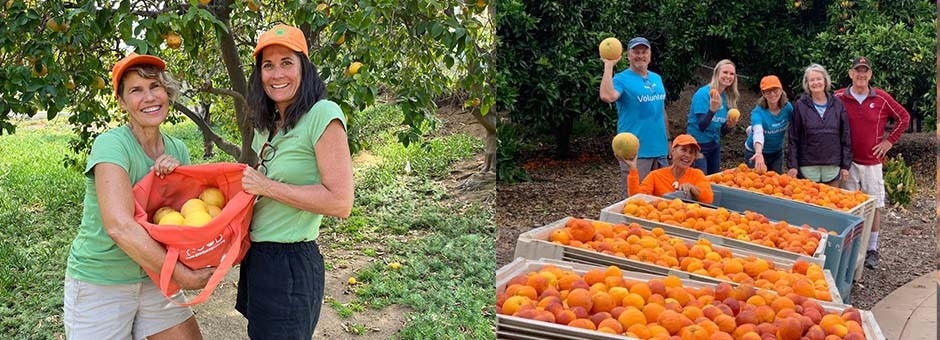 People with buckets of oranges.
