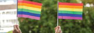 NEW LGBTQ+ YOUTH STANDARDS OF CARE GUIDE