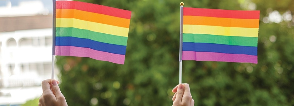 NEW LGBTQ+ YOUTH STANDARDS OF CARE GUIDE