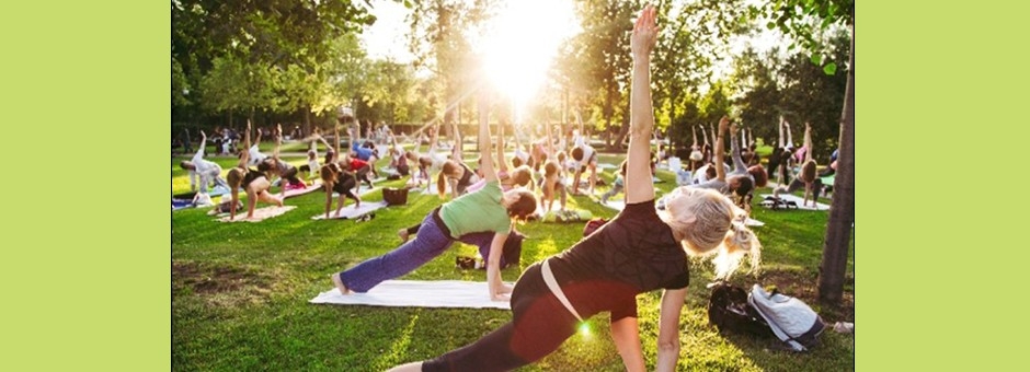 big group of people doing yoga in a park at sunset