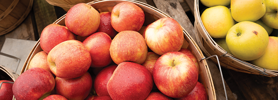 Report Reveals How Residents and Policy Makers Can Support the Local Food System 