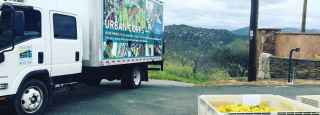 Urban Corps Helps Harvest Produce For Food Insecure San Diegans