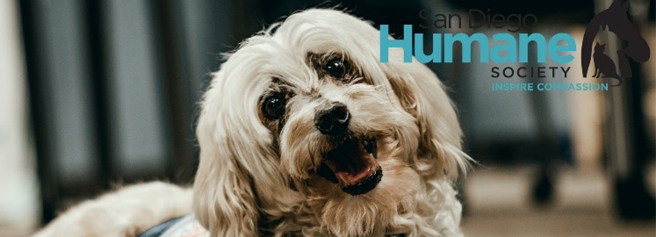 Fury Friends Revive Feelings of Peace, Comfort and Joy