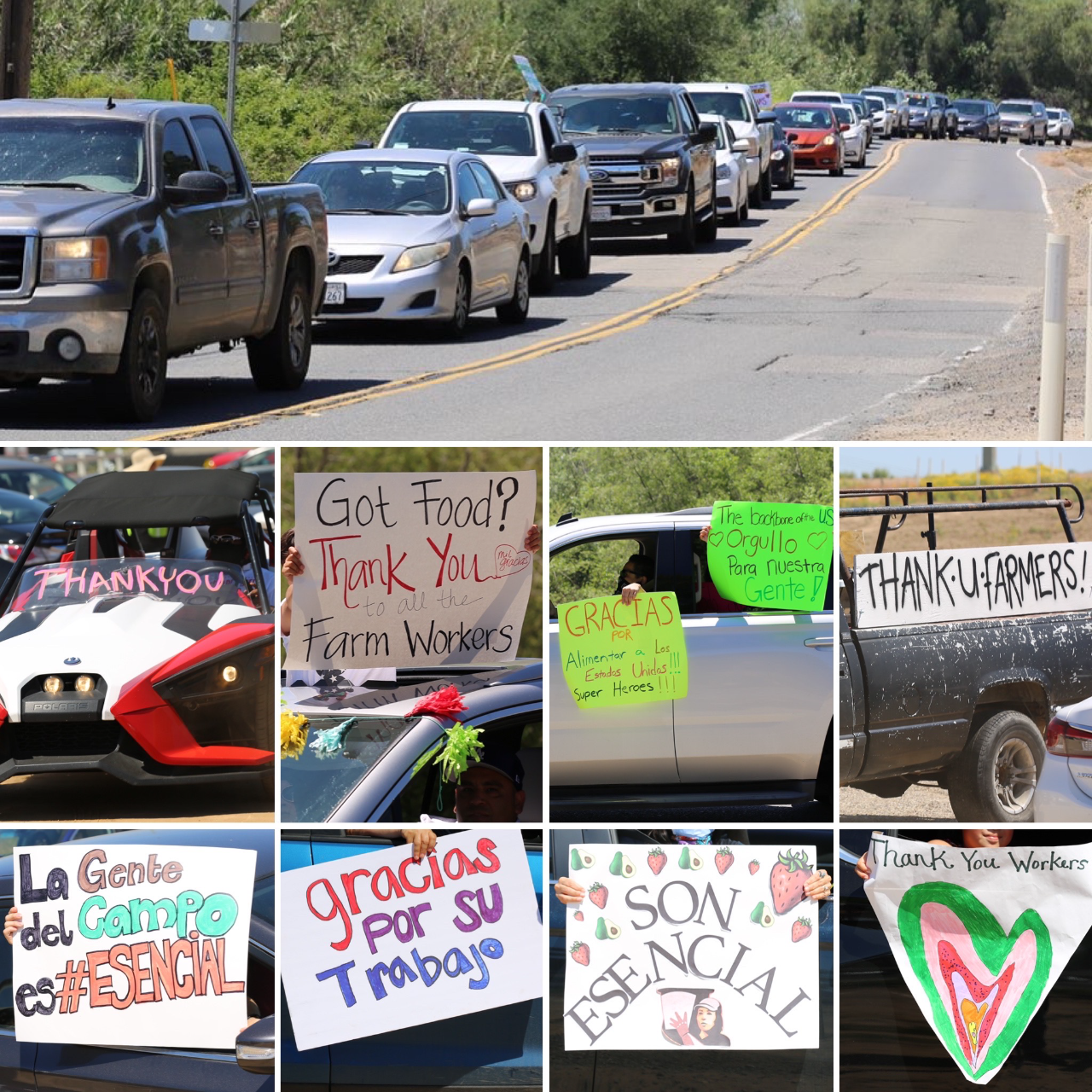 Caravan of Cars Thanking Farmworkers
