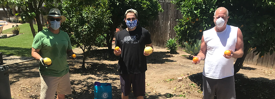 ProduceGood Employees Picking Fruits