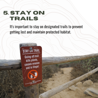 Hiking tip number 5, stay on trails: it's important to stay on designated trails to prevent getting lost and maintain protected habitats.