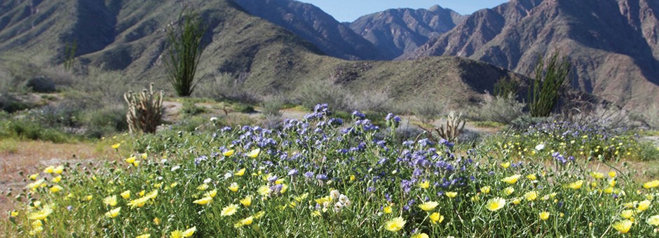 San Diego County on Track to Meet 2020 Greenhouse Gas Reduction Target