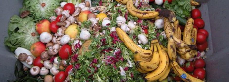 LOCAL COMMUNITY ORGANIZATION AWARDED FOR ENVIRONMENTAL INNOVATION IN WASTE DIVERSION
