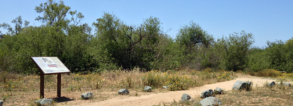 Otay Valley Regional Park Bike Trail