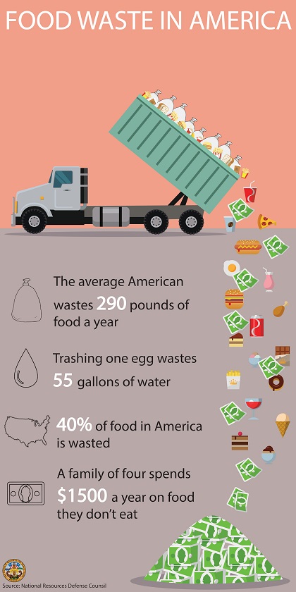 Food Waste Infographic