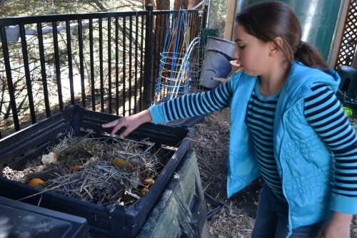 student_compost