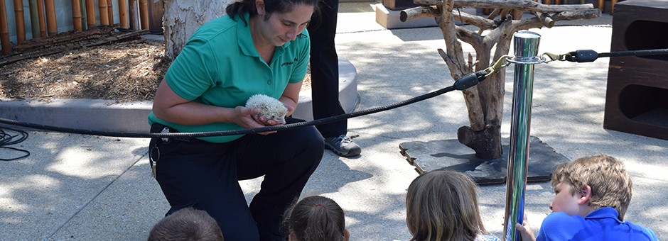 Albino Hedgehog Educates and Melts Hearts at Grandparents Raising Grandchildren Zoo Enrichment Day