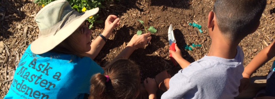South Region Garden Gathering for Kinship Families