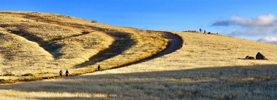 The Twelve Trails of December