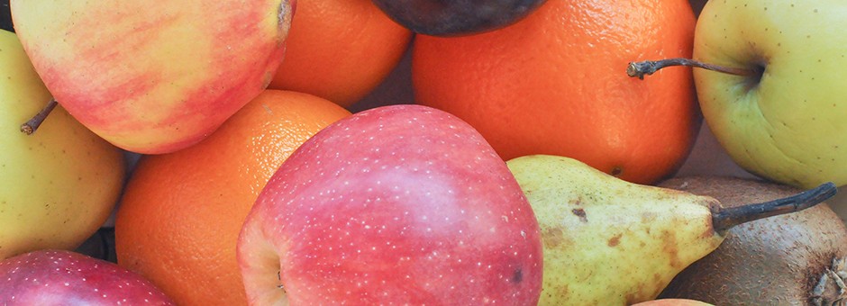 Wellness Education Series Nutrition Workshop