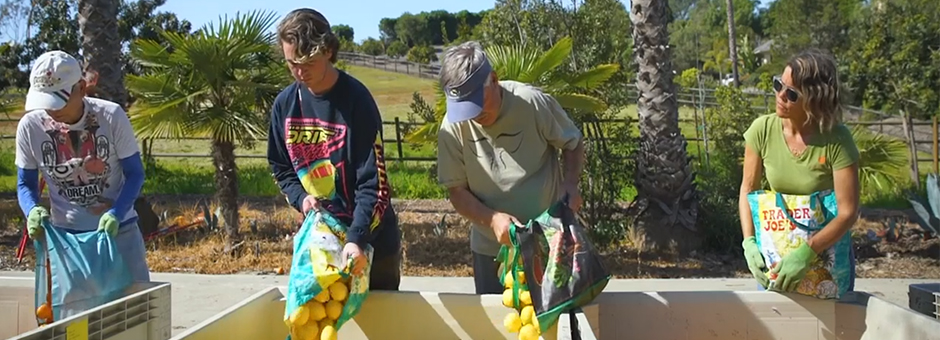Produce Good's CropSwap Reduces Food Waste