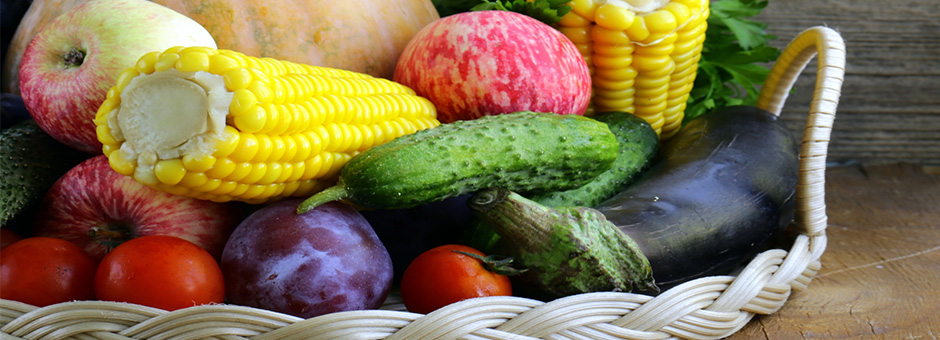Daily Harvest Supports Local Farms