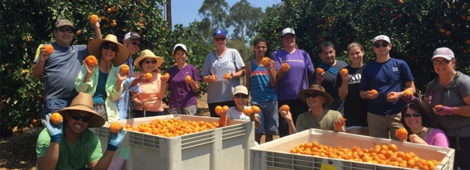 Produce Good Helps Reduce Waste and Hunger