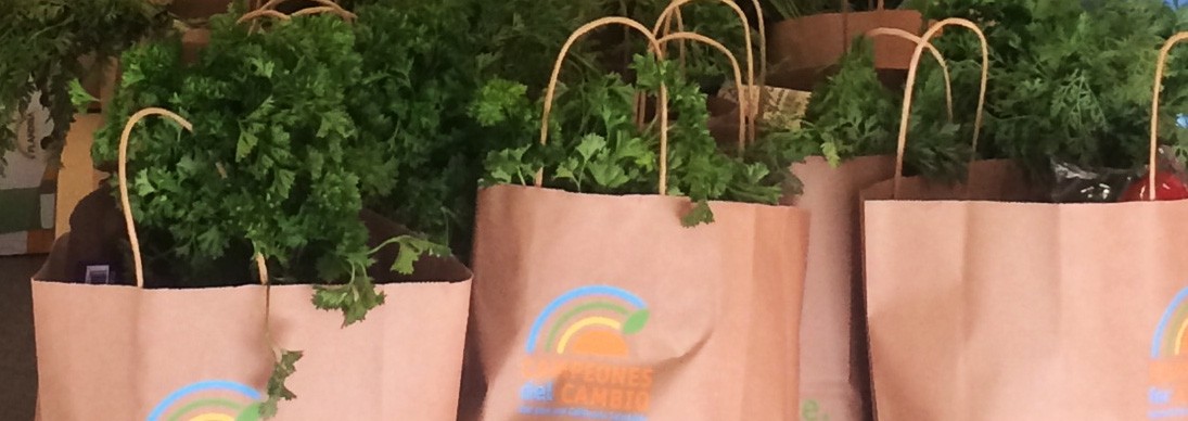 food day banner