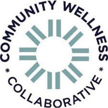 Institute for Public Strategies