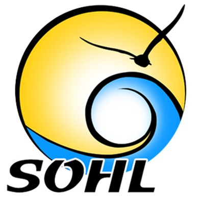 Live Well San Diego Recognized Partner The San Diego Organization of Healthcare Leaders